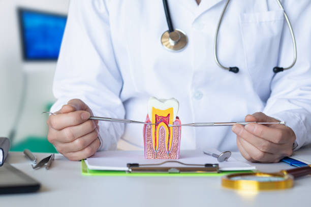 Best Emergency Denture Repair in Hallowell, ME